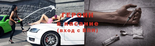 ГАЛЛЮЦИНОГЕННЫЕ ГРИБЫ Дмитриев