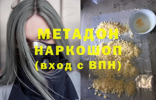 ГАЛЛЮЦИНОГЕННЫЕ ГРИБЫ Дмитриев