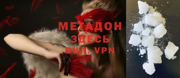 ГАЛЛЮЦИНОГЕННЫЕ ГРИБЫ Дмитриев