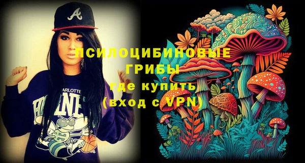 хмурый Дмитров