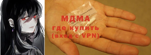 ГАЛЛЮЦИНОГЕННЫЕ ГРИБЫ Дмитриев