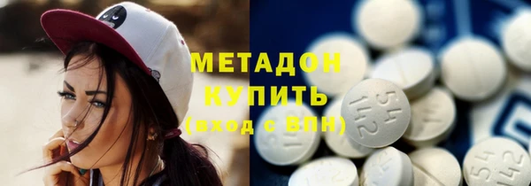 ГАЛЛЮЦИНОГЕННЫЕ ГРИБЫ Дмитриев