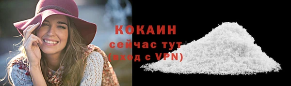 хмурый Дмитров