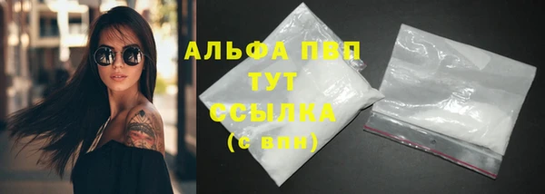 хмурый Дмитров
