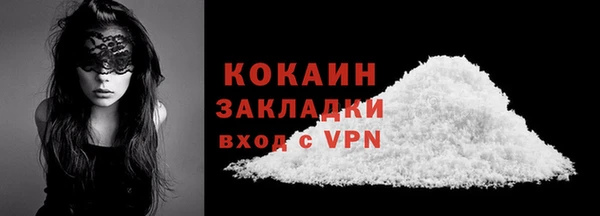 хмурый Дмитров