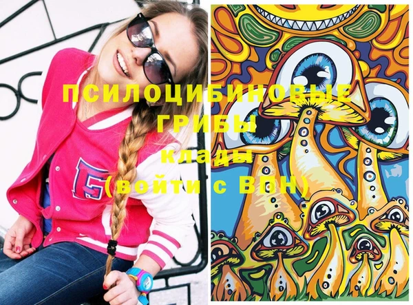 ГАЛЛЮЦИНОГЕННЫЕ ГРИБЫ Дмитриев