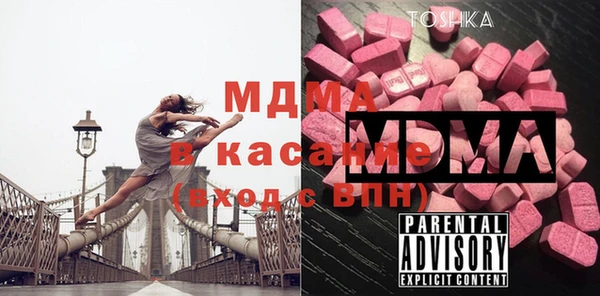 ГАЛЛЮЦИНОГЕННЫЕ ГРИБЫ Дмитриев