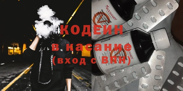 хмурый Дмитров