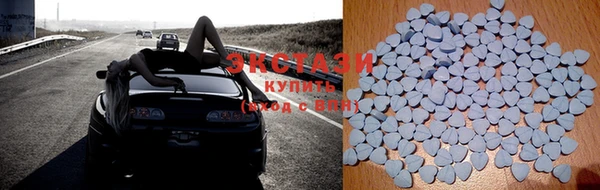 ГАЛЛЮЦИНОГЕННЫЕ ГРИБЫ Дмитриев