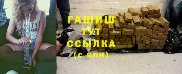 хмурый Дмитров