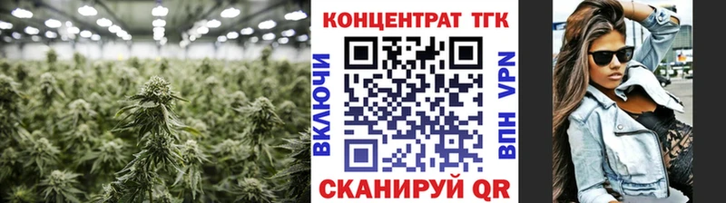omg вход где купить наркоту Зеленодольск Дистиллят ТГК гашишное масло