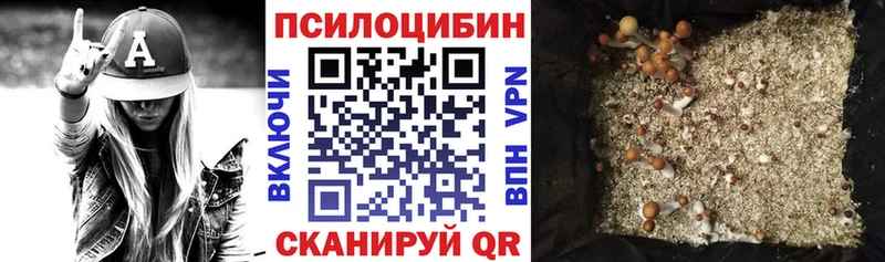 Псилоцибиновые грибы GOLDEN TEACHER  Зеленодольск 