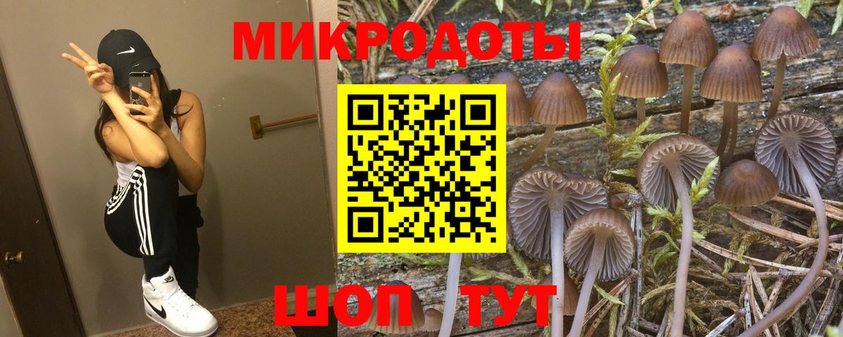 Зеленодольск  Псилоцибиновые грибы прущие грибы  Вход с VPN 