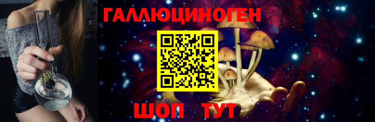 Псилоцибиновые грибы мицелий Зеленодольск